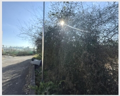  2024Ÿ��88267 ���� ȭ���� ȭ���� ���� 241-1      ����(��1)���