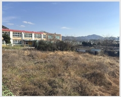  2024Ÿ��88267 ���� ȭ���� ȭ���� ���� 241-1      ����(��1)���