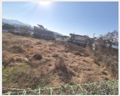  2024Ÿ��88267 ���� ȭ���� ȭ���� ���� 241-1      ����(��1)���