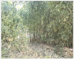  2024Ÿ2232   굿 268-7       (Ӿ)