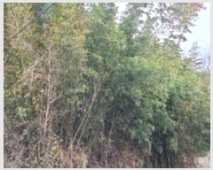  2024Ÿ2232   굿 268-7       (Ӿ)