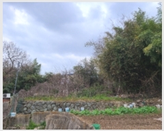  2024Ÿ2232   굿 268-7       (Ӿ)