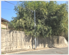  2024Ÿ2232   굿 268-7       (Ӿ)