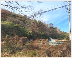  2024Ÿ��8490 ���� ���걸 ���̵� ��98-110       ����(�Ӿ�)���