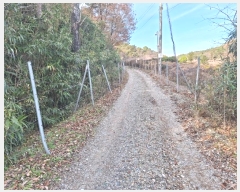  2024Ÿ��8490 ���� ���걸 ���̵� ��98-110       ����(�Ӿ�)���