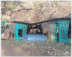  2024Ÿ��8490 ���� ���걸 ���̵� ��98-110       ����(�Ӿ�)���