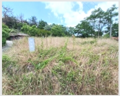  2024Ÿ��72132 ���� ���걸 ��굿 ��186-1       ����(�Ӿ�)���