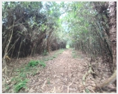  2024Ÿ��72132 ���� ���걸 ��굿 ��186-1       ����(�Ӿ�)���