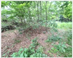  2024Ÿ��72132 ���� ���걸 ��굿 ��186-1       ����(�Ӿ�)���