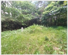  2024Ÿ��72132 ���� ���걸 ��굿 ��186-1       ����(�Ӿ�)���