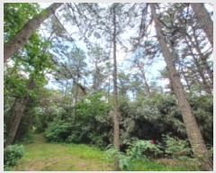  2024Ÿ��72132 ���� ���걸 ��굿 ��186-1       ����(�Ӿ�)���