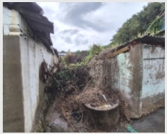  2024Ÿ80928  ֽ  43       (1)