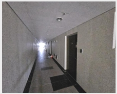  2024Ÿ82337  걸 ÷߾ӷ182 50, 9911ȣ (־ϵ,̿ƼƮũ)     Ʈ