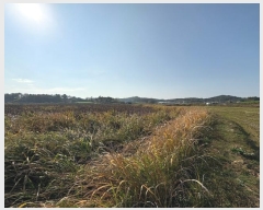  2024Ÿ86247  ֽ  縮 62      ()