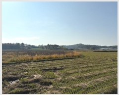  2024Ÿ86247  ֽ  縮 62      ()