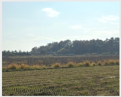  2024Ÿ86247  ֽ  縮 62      ()