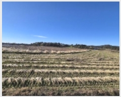  2024Ÿ86247  ֽ  縮 62      ()