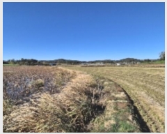  2024Ÿ86247  ֽ  縮 62      ()