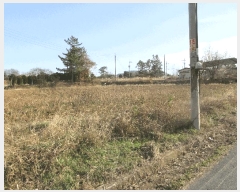  2024Ÿ87028  ֽ  ż 329-2      (1)