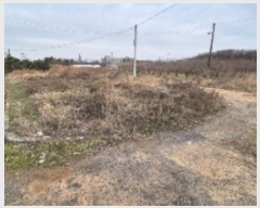  2024Ÿ87028  ֽ  ż 329-2      (1)