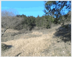  2024Ÿ88496     1171      (1)