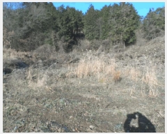  2024Ÿ88496     1171      (1)