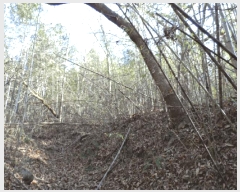  2024Ÿ88496     1171      (1)