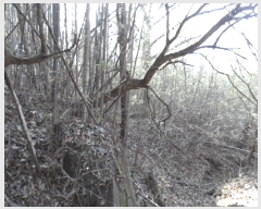  2024Ÿ88496     1171      (1)