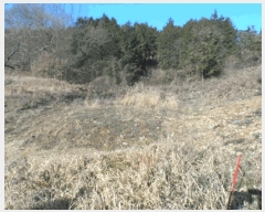  2024Ÿ88496     1171      (1)