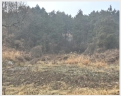  2024Ÿ88496     1171      (1)