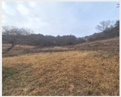  2024Ÿ88496     1171      (1)