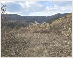  2024Ÿ��9233  �Ӿ߰��