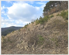  2024Ÿ��9233  �Ӿ߰��