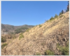  2024Ÿ��9233  �Ӿ߰��