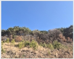  2024Ÿ��9233  �Ӿ߰��