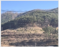  2024Ÿ��9233  �Ӿ߰��