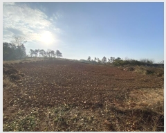  2024Ÿ85770  ֽ ȸ л긮 545-10      ()