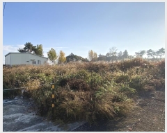  2024Ÿ85770  ֽ ȸ л긮 545-10      ()