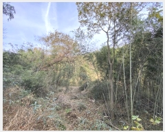  2024Ÿ85770  ֽ ȸ л긮 545-10      ()