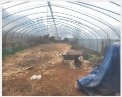  2024Ÿ88090  ֽ   184-16      (1)