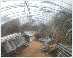  2024Ÿ88090  ֽ   184-16      (1)