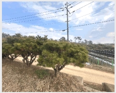  2024Ÿ89215  ֽ  ۸ 150-8      (Ӿ)