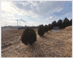  2024Ÿ89215  ֽ  ۸ 150-8      (Ӿ)