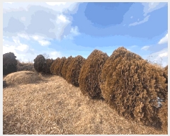  2024Ÿ89215  ֽ  ۸ 150-8      (Ӿ)