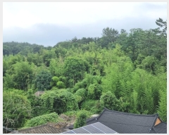  2024Ÿ��4528 ���� �ϱ� �ﰢ�� 209       ����(��)���