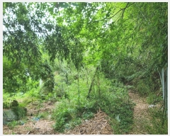  2024Ÿ��4528 ���� �ϱ� �ﰢ�� 209       ����(��)���