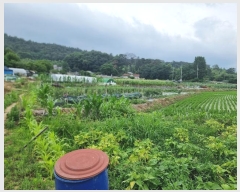  2024Ÿ��4528 ���� �ϱ� �ﰢ�� 209       ����(��)���