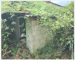  2024Ÿ��81389 ���� ���ֽ� ������ ������ 723      ���ð��