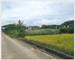  2024Ÿ��81389 ���� ���ֽ� ������ ������ 723      ���ð��