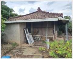  2024Ÿ��81389 ���� ���ֽ� ������ ������ 723      ���ð��